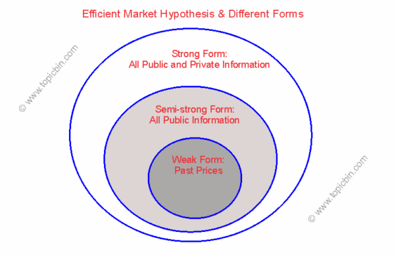 efficient-market-hypothesis-different-forms-topicbin